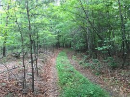 600 Lynch Road Tryon Home Listings - brand new View Realty LLC Tryon Real Estate