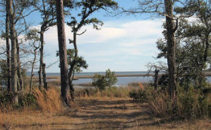 Rentals in Beaufort NC