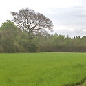 duplin county farm on the market