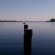 Most beautiful City in North Carolina