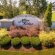 Rent to Own in Greenville NC