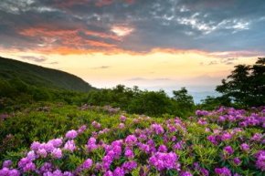 North Carolina Retirement Communities