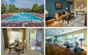 Apartments for Rent in 28269