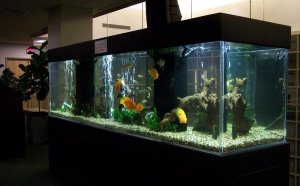 Charlotte North Carolina Apartments Guide