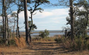Rentals in Beaufort NC