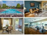 Apartments for Rent in 28269