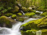 Ashe County North Carolina Real Estate