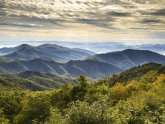 Black Mountain North Carolina Real Estate