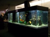Charlotte North Carolina Apartments Guide