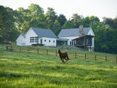 Farms for in North Carolina with House