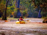 Places to Rent in NC