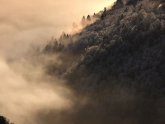 Places to Rent in North Carolina