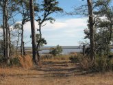 Rentals in Beaufort NC