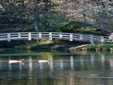 Rentals Properties NC