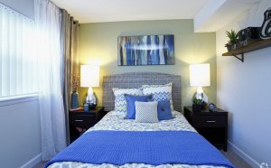 Collins Crossing Carrboro reviews